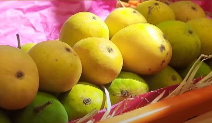 त्यांच्या या कल्पनेला यशही आलं असून आतापर्यंत त्यांच्याकडून दोन ग्राहकांनी ईएमआयवर आंबे विकत घेतले आहेत.