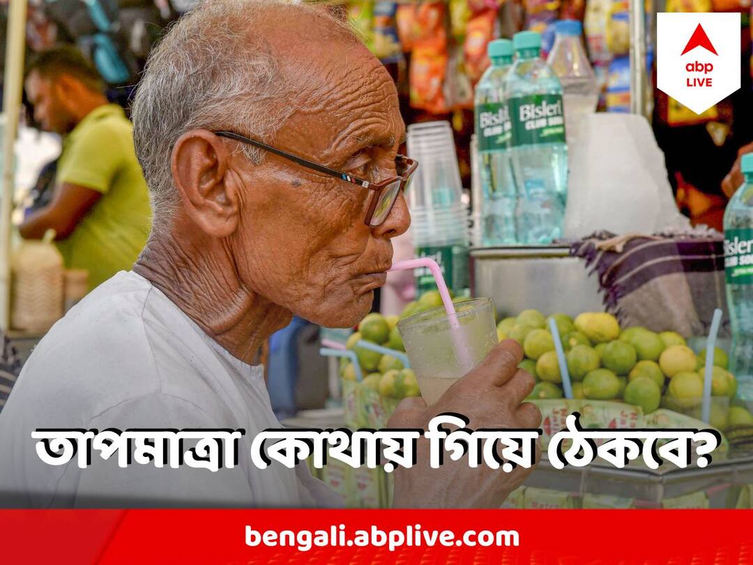 West Bengal Weather temperature may increase by 2 to 4 degrees in 5 days. West Bengal Weather : ৫ দিনে অনেকটা বাড়তে পারে গরম ! তাপমাত্রা কোথায় গিয়ে ঠেকবে জানাল আবহাওয়া দফতর