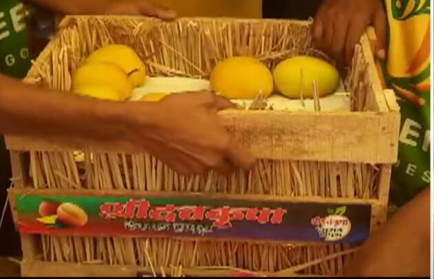 पुण्यातील गौरव सणस हे व्यावसायिक मागील अनेक वर्षापासून सिंहगड रस्ता परिसरात आंबे विक्रीचा व्यवसाय करतात.