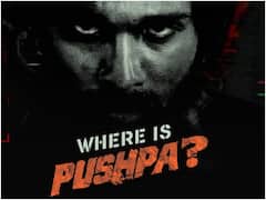 పుష్ప ఎక్కడ? జైలు నుంచి ఎలా వచ్చాడు? అల్లు అర్జున్ ఫ్యాన్స్‌కు కిక్ ఇచ్చిన వీడియో