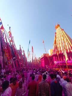 Jotiba Chaitra Yatra : चांगभलं! जोतिबा डोंगरावर लाखो भक्तांची मांदियाळी; अमाप उत्साहात आज यात्रेचा मुख्य दिवस
