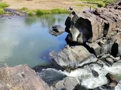 Palghar Warli Painting : पालघरमधील सूर्या नदीचा प्रसिद्ध भीम बांध वारली पेंटिंगने सजला