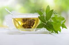 Green Tea Benefits: ਕੀ ਖਾਣਾ ਖਾਣ ਤੋਂ ਬਾਅਦ ਗ੍ਰੀਨ ਟੀ ਪੀਣ ਨਾਲ ਘੱਟ ਹੁੰਦਾ ਹੈ ਭਾਰ? ਜਾਣੋ ਕੀ ਹੈ ਸੱਚਾਈ