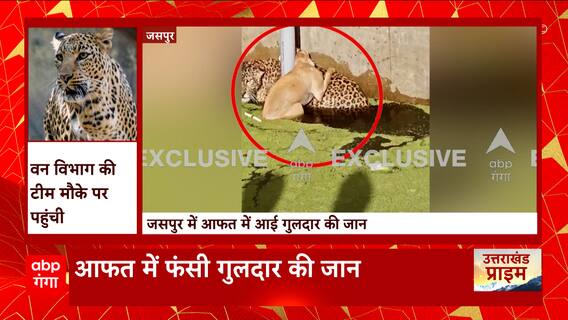 Uttarakhand News: बोरवेल में फंसा गुलदार, तस्वीरें आई सामने