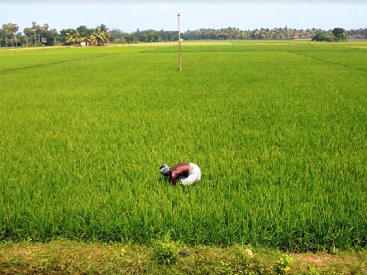 ஜீவாதார உரிமைகளையும் பெற்று தராத கையாளாகாத அரசாக  திமுக உள்ளது - ஆர்.பி.உதயகுமார் குற்றச்சாட்டு