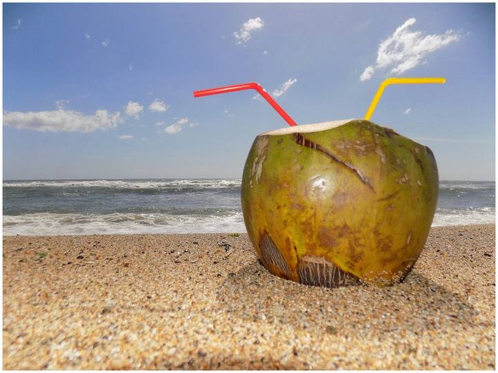 Summer Health Drink Coconut Water Benefits Coconut Water: వేసవితాపాన్ని తట్టుకోవాలంటే రోజుకో కొబ్బరి బోండాం తాగాల్సిందే