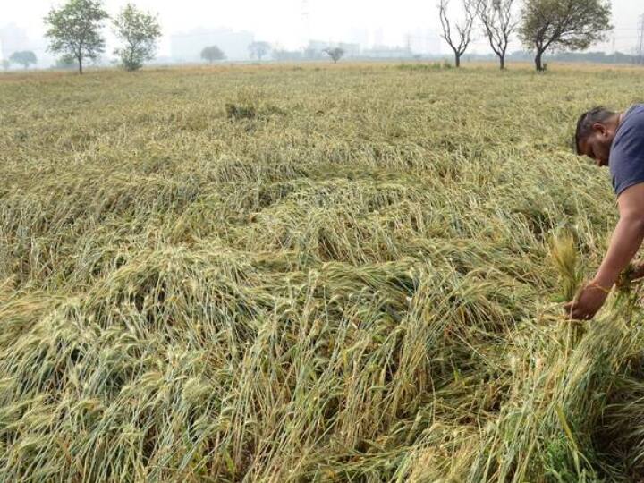 crop damage rain gauge machines will be installed in Jharkhand for weather information Crop Damage: ਮੀਂਹ, ਗੜੇਮਾਰੀ ਨਹੀਂ ਬਣੇਗੀ ਫਸਲਾਂ ਦਾ ਕਾਲ, ਇੱਥੇ 25 ਹਜ਼ਾਰ ਰੇਨ ਗੇਜ ਮਸ਼ੀਨਾਂ ਲਗਾਈਆਂ ਜਾਣਗੀਆਂ, ਜਾਣੋ ਇਸ ਨਾਲ ਕੀ ਹੁੰਦਾ ਹੈ?