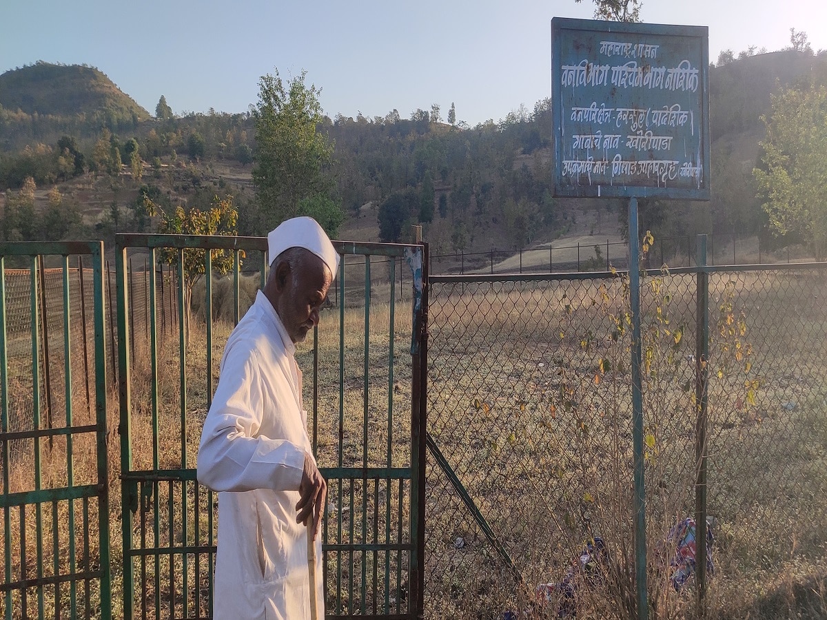 Nashik News: राज्यातील पहिल्या गिधाड संवर्धन केंद्रास उतरती कळा; खोरीपाड्याचा गिधाड रेस्तराँ संकटात