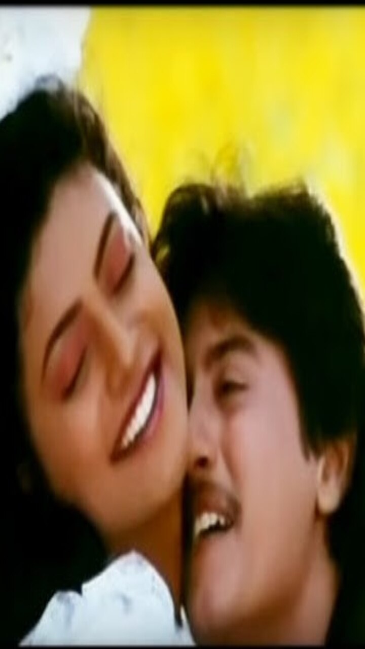 செம்பருத்தி -