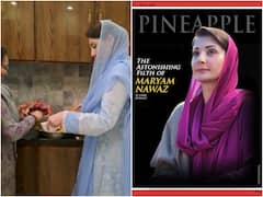 पाकिस्तान में ऐसा क्या हुआ कि ट्रेंड करने लगा पाइनेप्पल, हजारों लोग कर चुके हैं ट्वीट