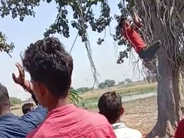 Firozabad Uttar Pradesh accused of theft hanged set on fire video viral police registered case arrested ANN Firozabad News: फिरोजाबाद में प्रधान का तालिबानी फरमान, चोरी के आरोपी को पेड़ से लटका कर नीचे लगाई  आग, Video Viral