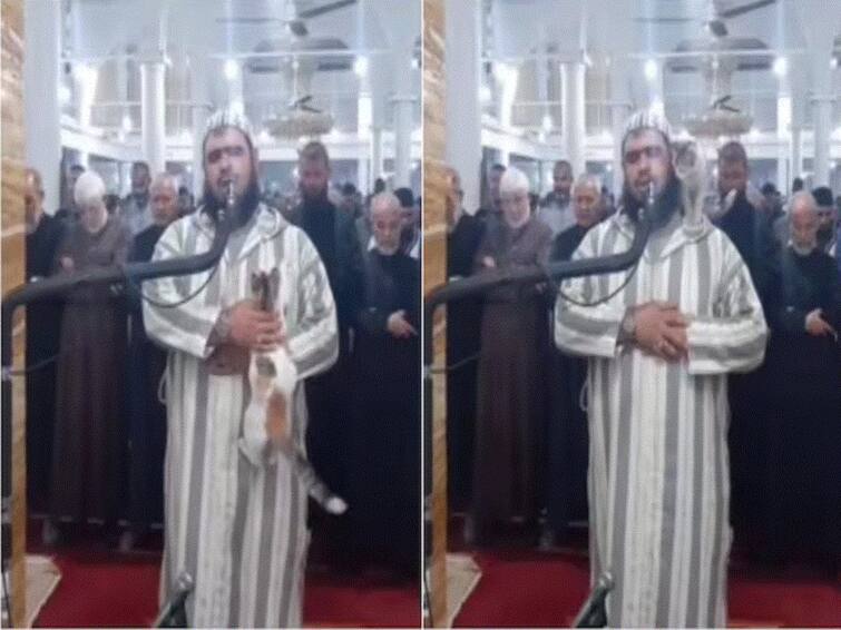 Cat Jumps On Imam As He Leads Ramadan Prayer In Algeria, Watch Viral Video Cat Jumps On Imam As He Leads Ramadan Prayer In Algeria, Watch Viral Video