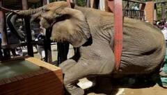 Noor Jehan : ਪਾਕਿਸਤਾਨ 'ਚ 'ਨੂਰਜਹਾਂ' ਲਈ ਲੋਕ ਕਰ ਰਹੇ ਹਨ ਦੁਆਵਾਂ , ਇੰਟਰਨੈੱਟ 'ਤੇ ਛਾਈਆਂ ਤਸਵੀਰਾਂ, ਜਾਣੋ ਕੀ ਹੈ ਉਸ ਦਾ ਦਰਦ?