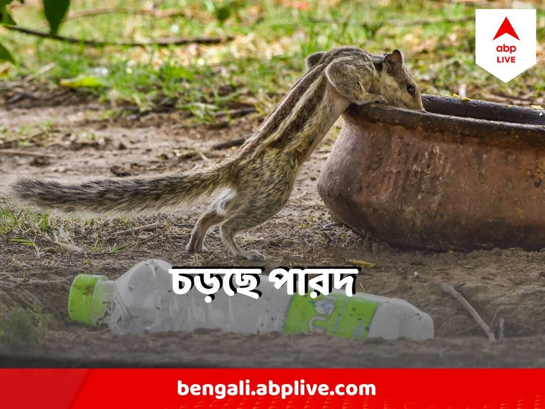 West Bengal Weather Temperature to increase rapidly in April in Kolkata South Bengal No Forecast of rain West Bengal Weather : চড়ছে গরম, বাড়ছে অস্বস্তি, চৈত্রে তাপমাত্রা কোথায় গিয়ে ঠেকবে ?