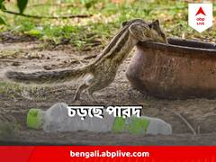 চড়ছে গরম, বাড়ছে অস্বস্তি, চৈত্রে তাপমাত্রা কোথায় গিয়ে ঠেকবে ?