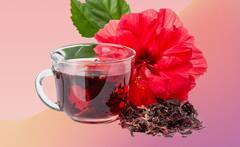 મોટાપો જ નહી સ્ટ્રેસ પણ દૂર કરવામાં મદદરૂપ છે જાસૂદના ફૂલની ચા, જાણો ફાયદા