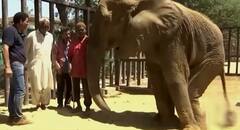 Noor Jehan: पाकिस्तान में 'नूरजहां' के लिए लोग मांग रहे दुआ, तस्वीरें इंटरनेट पर छाईं, जानें क्या है उसका दर्द?