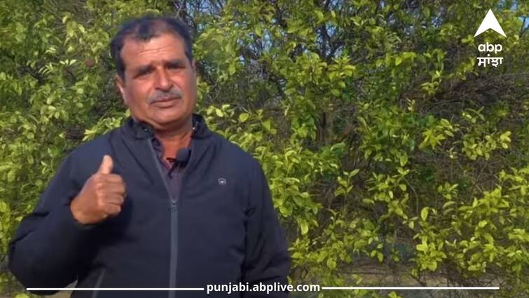 success story of progressive farmer from fatehabad district of haryana harish madan earn well in horticulture Profitable Farming: ਹਾਈਟੈਕ ਢੰਗ ਨਾਲ 23 ਏਕੜ ਵਿੱਚ ਫਲ ਅਤੇ ਸਬਜ਼ੀਆਂ ਦੀ ਕਾਸ਼ਤ… ਕਿਸਾਨ ਕਮਾ ਰਿਹਾ ਚੋਖਾ ਮੁਨਾਫ਼ਾ, ਜਾਣੋ