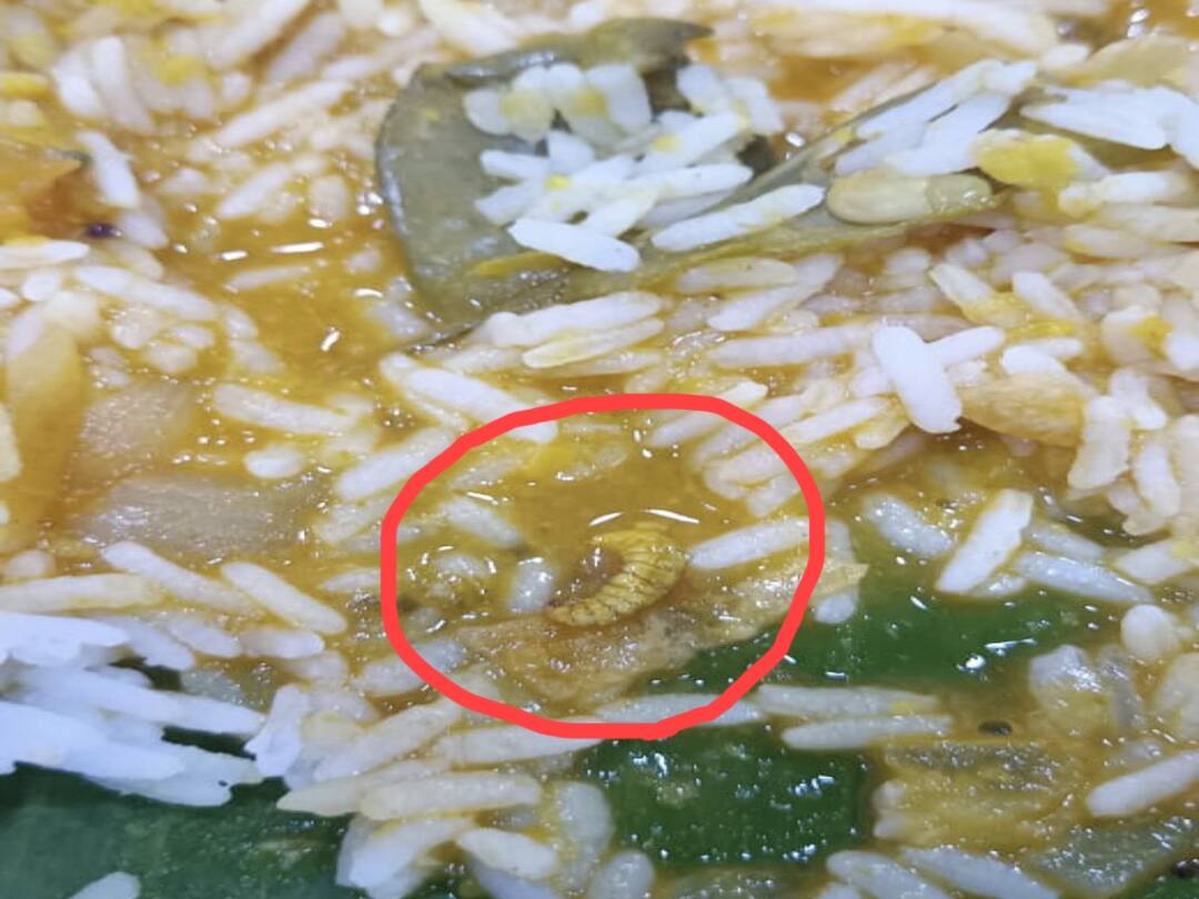 ஆரணியில் சைவ ஓட்டல் உணவில் நெளிந்த புழுவால் வாடிக்கையாளர் அதிர்ச்சி