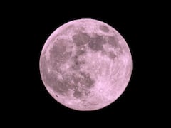 Pink Moon 2023: Know How To Watch The First Full Moon Of Spring Online And Other Interesting Facts