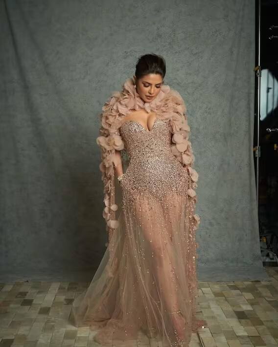 પ્રિયંકા ચોપડા અને નિક જોનાસે પોતાના લેટેસ્ટ ફોટોશૂટની તસવીરો ઇન્સ્ટાગ્રામ પર શેર કરી છે.