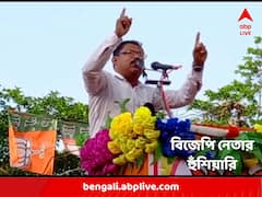 'হাঁসখালি ছোট ব্রিজের নীচে তৃণমূলের মস্তানদের নিথর শরীর পড়ে থাকবে', হুঁশিয়ারি বিজেপি নেতার
