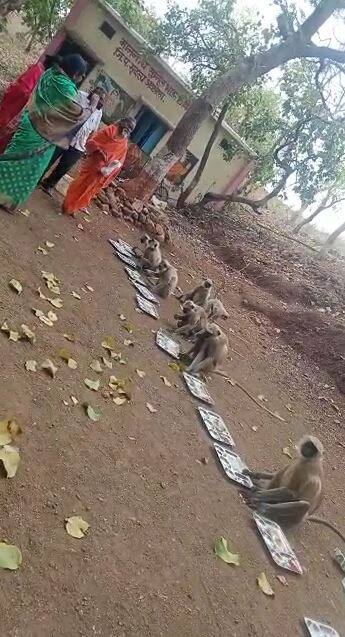 अकोला जिल्ह्यातील बार्शिटाकळी तालुक्यातील कोथळी खुर्द गावातही काल उत्साहात हनुमान जयंती साजरी करण्यात आली.