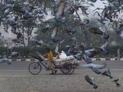 झारखंड में बारिश के बाद तेज धूप ने बढ़ाई परेशानी, जानिए- आने वाले दिनों में कैसा रहेगा मौसम का मिजाज