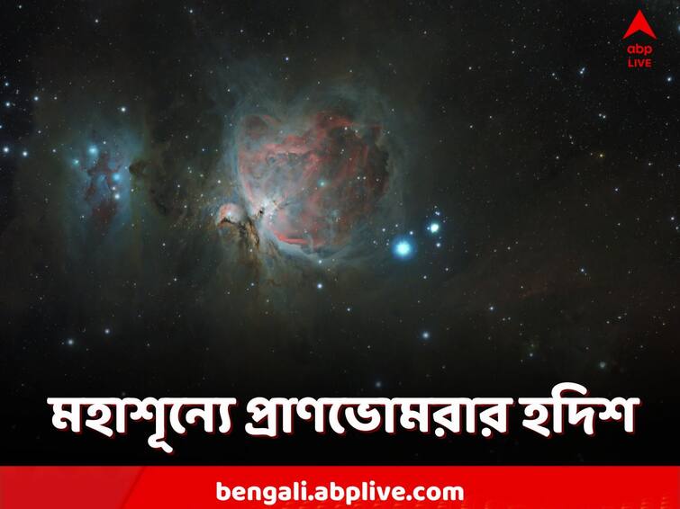 Perseus Molecular Cloud Scientists discovered Early ingredients of life about 1000 light years away from Earth Know Details Perseus Molecular Cloud: প্রাণ তৈরির প্রাণভোমরা! লুকিয়ে ধুলো-গ্যাসের মেঘের ভিতরে! তাহলে কী?