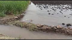 Indapur : 'कॅनॉलचे पाणी आमच्या शेतात आल्यावर आम्ही कुणावर केस करायची?' शेतकऱ्यांचा सवाल!