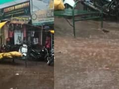 राज्यात सर्वदूर अवकाळी पावसाचा धुमाकूळ; मदतीच्या प्रतीक्षेतील बळीराजाची पुन्हा दैना, फळबागांवर विपरित परिणाम 