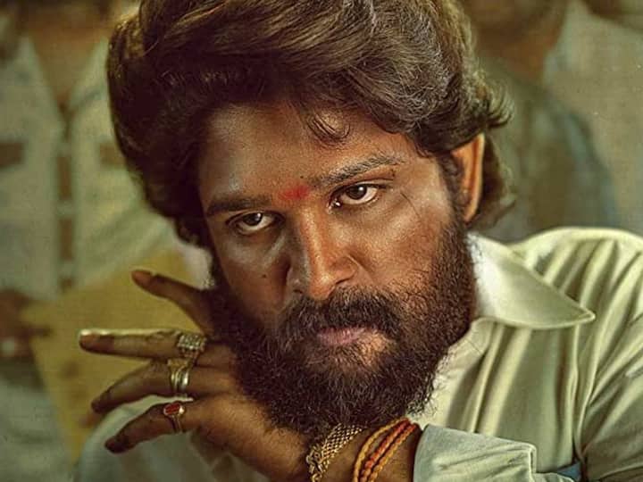 दाक्षिणात्य चित्रपटसृष्टीतील सुपरस्टार अल्लू अर्जुनच्या (Allu Arjun) पुष्पा (Pushpa: The Rise - Part 1) या चित्रपटानं केवळ भारतातीलच नाही तर जगभरातील प्रेक्षकांची मनं जिंकली.