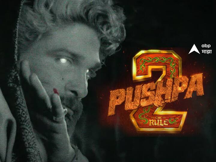 Pushpa 2 Pushpa The Rule of Allu Arjun rashmika mandanna film video release Pushpa 2:   तुरुंगातून फरार झालेला पुष्पा कुठं गेलाय? उत्तर मिळालं, पाहा पुष्पा-2 चा अंगावर शहारे आणणारा व्हिडीओ