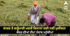 Punjab News: ਬਾਰਸ਼ ਤੇ ਗੜ੍ਹੇਮਾਰੀ ਮਗਰੋਂ ਕਿਸਾਨਾਂ ਲਈ ਨਵੀਂ ਮੁਸੀਬਤ! ਕੇਂਦਰ ਦੀਆਂ ਟੀਮਾਂ ਪੰਜਾਬ ਪਹੁੰਚੀਆਂ