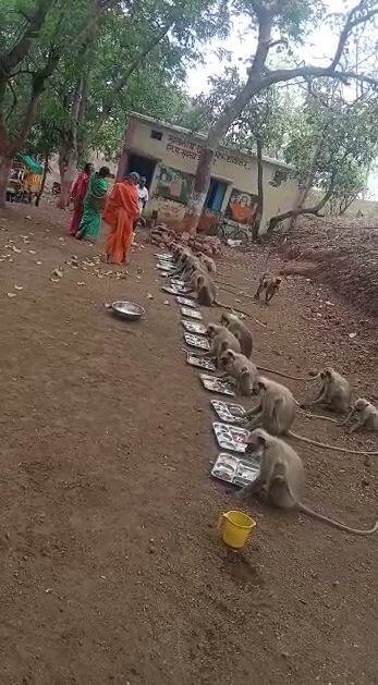 काल संपूर्ण देशभरात हनुमान जयंती उत्साहात साजरी करण्यात आली.