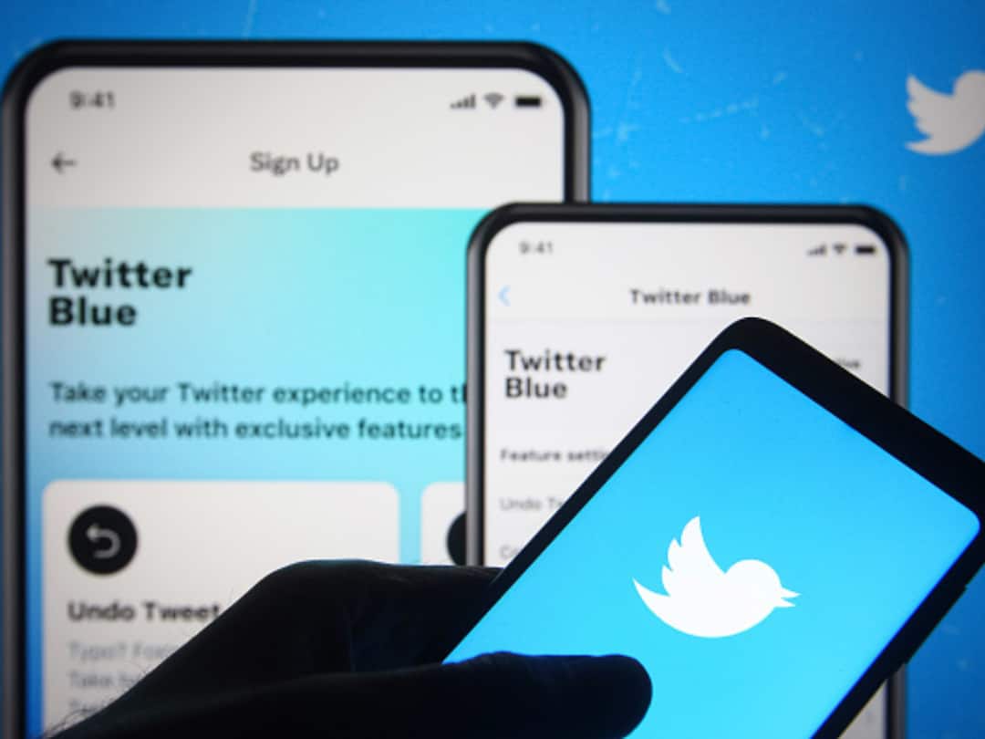 Twitter Blue 50 Per Cent Less Ads Half Paid Subscription Elon Musk Details Twitter Blue Paid Subscription Will Show 50 Per Cent Less Ads In Timeline
