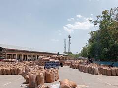 कोटा और बूंदी में सोमवार से MSP पर शुरू होगी चने और सरसों की खरीद, जानिए क्या हैं रेट