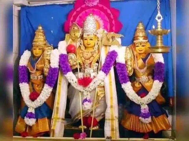 Thanjavur District Temples Palkudam, theemithi Festival TNN தஞ்சாவூர் மாவட்ட கோயில்களில் பால்குடம், தீமிதி திருவிழா - பக்தர்கள் நேர்த்திக்கடன்