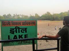 दिल्ली की तिहाड़ी झील का अब होगा कायाकल्प, आने वाले समय में यहां तैरती नजर आएंगी नाव