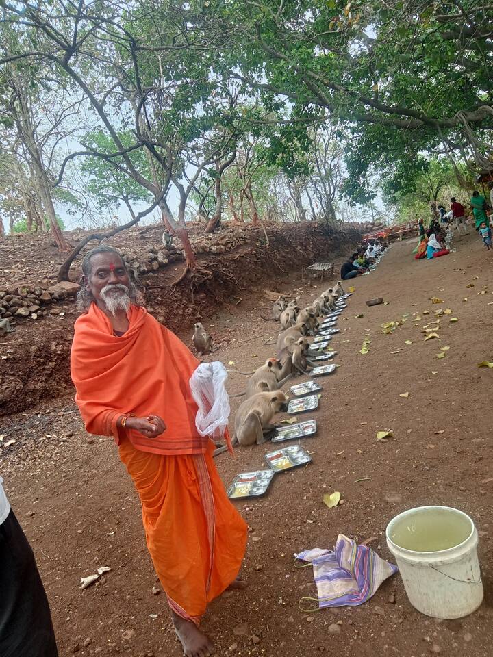 या अनोख्या पंगतीचे फोटो सध्या व्हायरल होताहेत. रामदास महाराजांनी माकडांना ही पंगत दिलीये.
