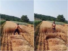 किसान ने जुगाड़ लगाकर मिनटों में कर दी गेंहू की कटाई, क्रिएटिविटी देख हर कोई हुआ इंप्रेस