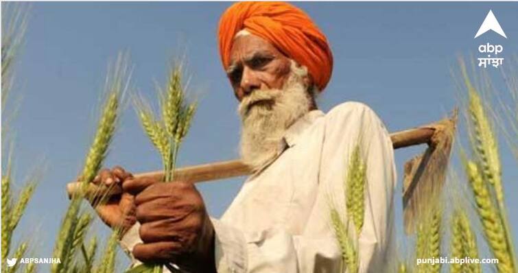 On the occasion of Baisakhi the central government can give a big relief to the farmers of Punjab central teams are taking samples Agriculture News: ਵਿਸਾਖੀ ਮੌਕੇ ਕੇਂਦਰ ਸਰਕਾਰ ਪੰਜਾਬ ਦੇ ਕਿਸਾਨਾਂ ਨੂੰ ਦੇ ਸਕਦੀ ਵੱਡੀ ਰਾਹਤ, ਕੇਂਦਰੀ ਟੀਮਾਂ ਲੈ ਰਹੀਆਂ ਸੈਂਪਲ