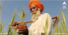 Agriculture News: ਵਿਸਾਖੀ ਮੌਕੇ ਕੇਂਦਰ ਸਰਕਾਰ ਪੰਜਾਬ ਦੇ ਕਿਸਾਨਾਂ ਨੂੰ ਦੇ ਸਕਦੀ ਵੱਡੀ ਰਾਹਤ, ਕੇਂਦਰੀ ਟੀਮਾਂ ਲੈ ਰਹੀਆਂ ਸੈਂਪਲ