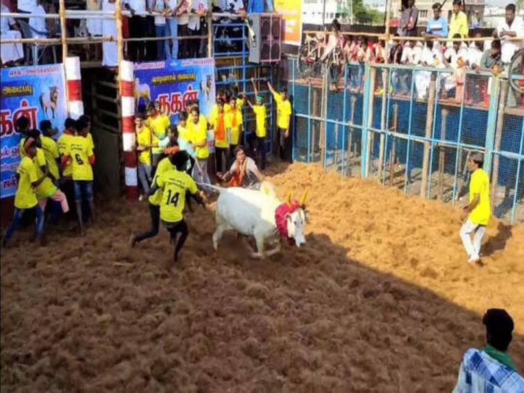 Police baton in Jallikattu competition held in Trichy district TNN திருச்சி அருகே  ஜல்லிக்கட்டு போட்டியில் போலீஸ் தடியடி