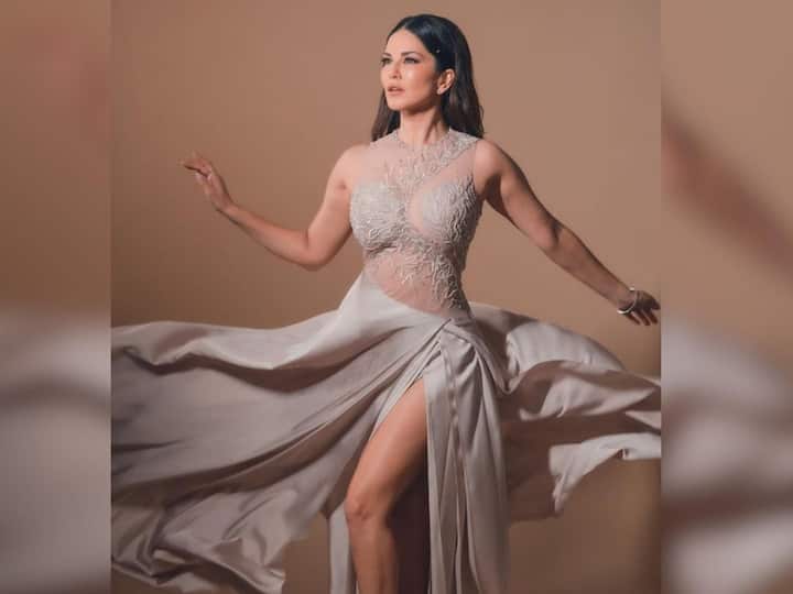 Sunny Leone treated her fans to a new set of pictures in a grey gown. Check out.