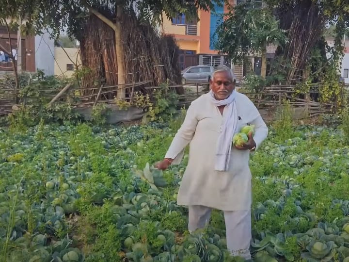 Haryana Progressive Farmer Dharmpal Saini Cultivating Organic Vegetables With Drip Irrigation polyhouse mulching Profitable Farming: स्मार्ट तकनीकों से ऑर्गेनिक फार्मिंग करता है ये किसान...इस स्कीम में आवेदन करने पर मिला सब्सिडी का लाभ