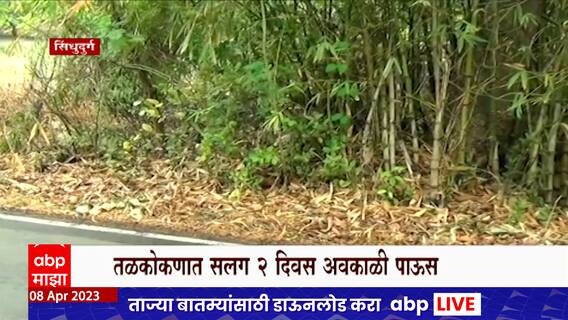 Maharashtra Rain : सिंधुदुर्गात अवकाळी पावसाचा फटका, आंबा, कोकम पिकांना फटका