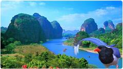 Longhu Mountain Drone Visuvals | కన్నుల విందు చేస్తున్న చైనాలోని Longhu పర్వతాలు | ABP Desam