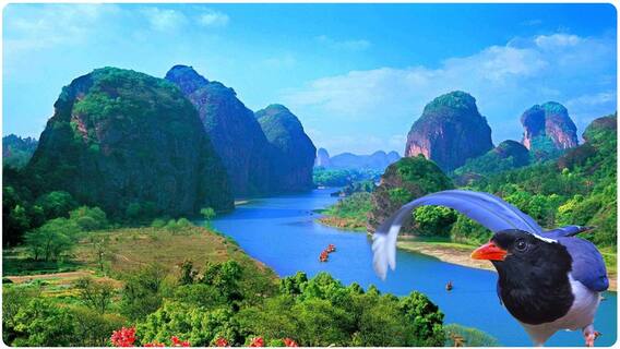 Longhu Mountain Drone Visuvals | కన్నుల విందు చేస్తున్న చైనాలోని Longhu పర్వతాలు | ABP Desam