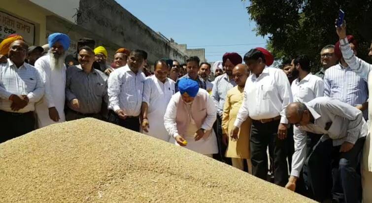 Government purchase of wheat has started the minister claimed, farmers will not be unhappy Patiala News: ਕਣਕ ਦੀ ਸਰਕਾਰੀ ਖ਼ਰੀਦ ਸ਼ੁਰੂ, ਮੰਤਰੀ ਨੇ ਕੀਤਾ ਦਾਅਵਾ, ਕਿਸਾਨ ਨਹੀਂ ਹੋਣਗੇ ਖੱਜਲ ਖੁਆਰ